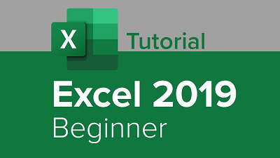 Learn the basics of MS Excel