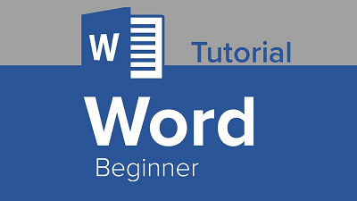 Learn the basics of MS Word