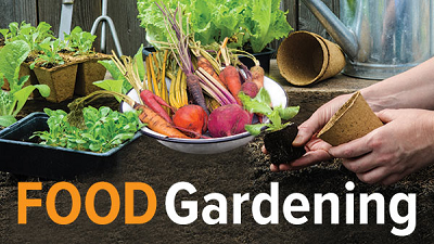 Food Gardening